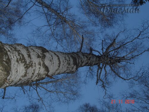 DSC04673_r